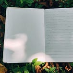 Detoxed Paragraph