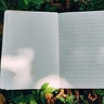 Detoxed Paragraph