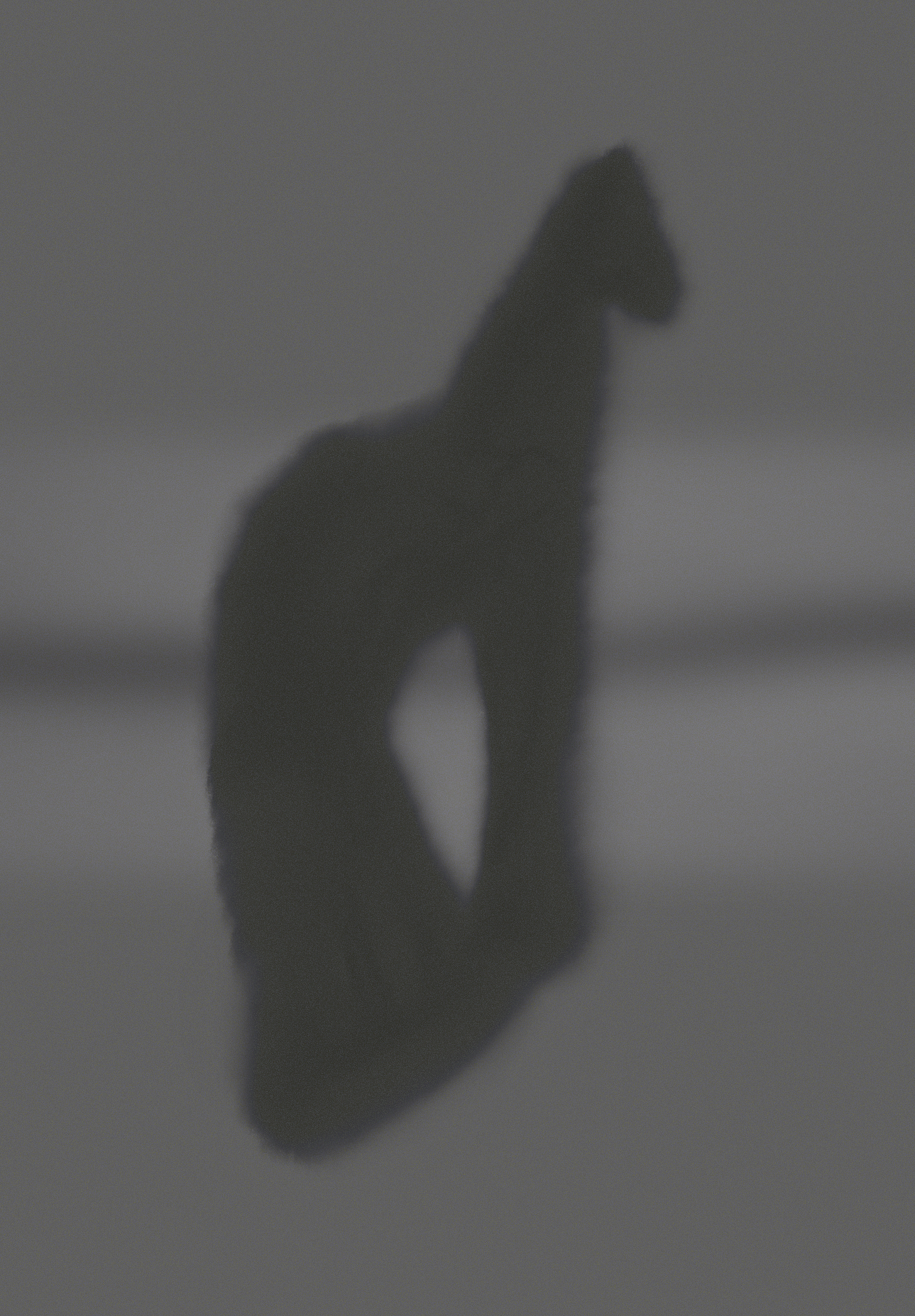 Pasted Graphic 1.png