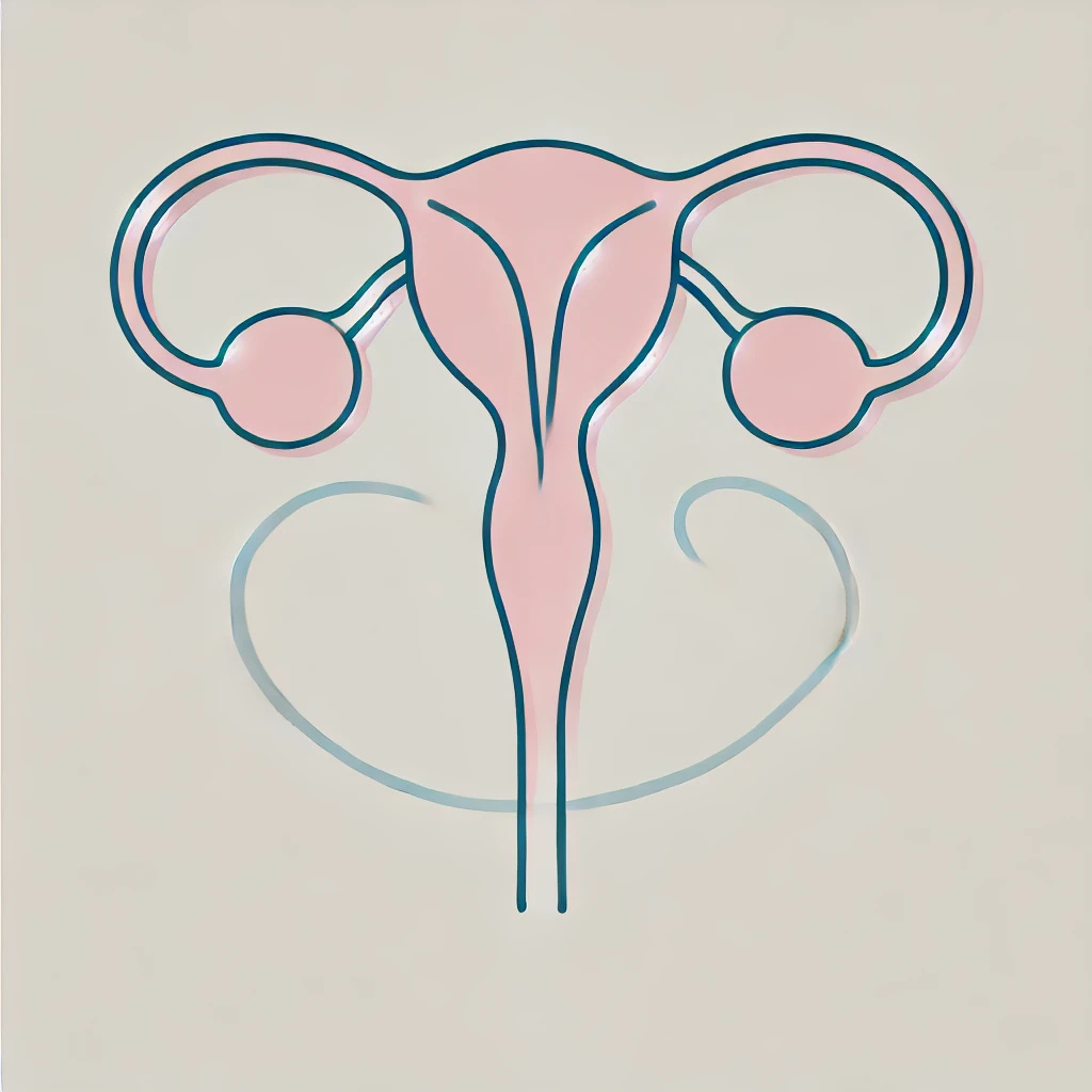 A simple and minimalistic illustration of human ovaries, similar to a previous design. The image features two small oval shapes representing the ovaries, connected by a curved line for the fallopian tubes. The ovaries should be in a soft pink color, and the fallopian tubes in a light pastel shade, such as light blue. The background is plain white, and the lines are thin and black, keeping the image visually clear and easy to understand. The overall design is straightforward, with no intricate details or textures.