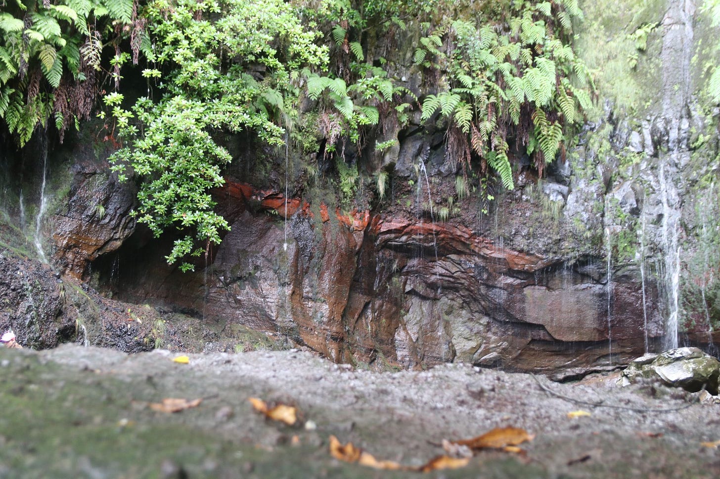 Madeira 2022: Travel Summary