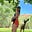 Steph Miramontes's avatar