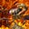 🦀 Anonymous Crab 🦀's avatar