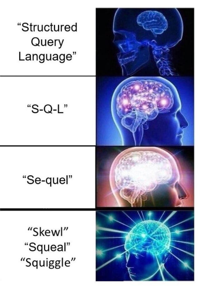 so our databases professor has been putting memes in his slides teaching  with memes: a concept : r/ProgrammerHumor