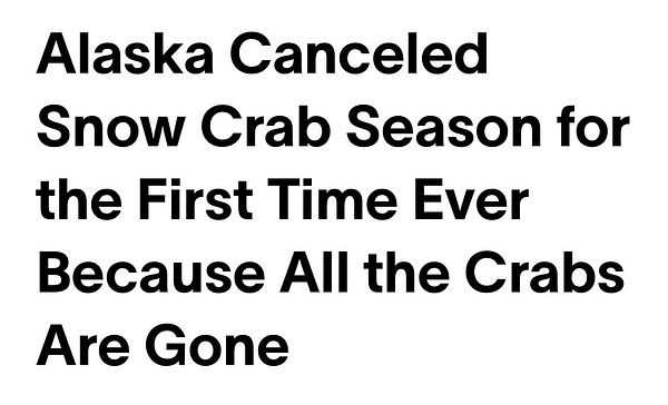 Alaska Canceled Snow Crab Season for the First Time Ever Because All the Crabs Are Gone