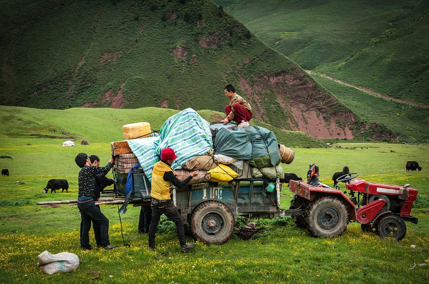 In Search of Black Tents by Diane Barker - Emergence Magazine