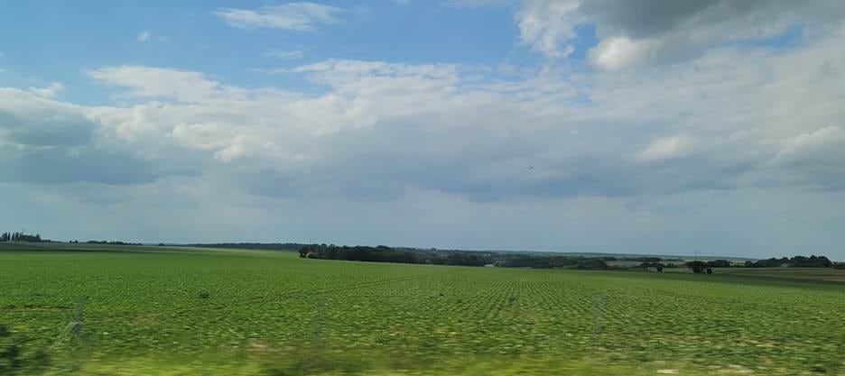 A field of green grass and blue sky

AI-generated content may be incorrect.