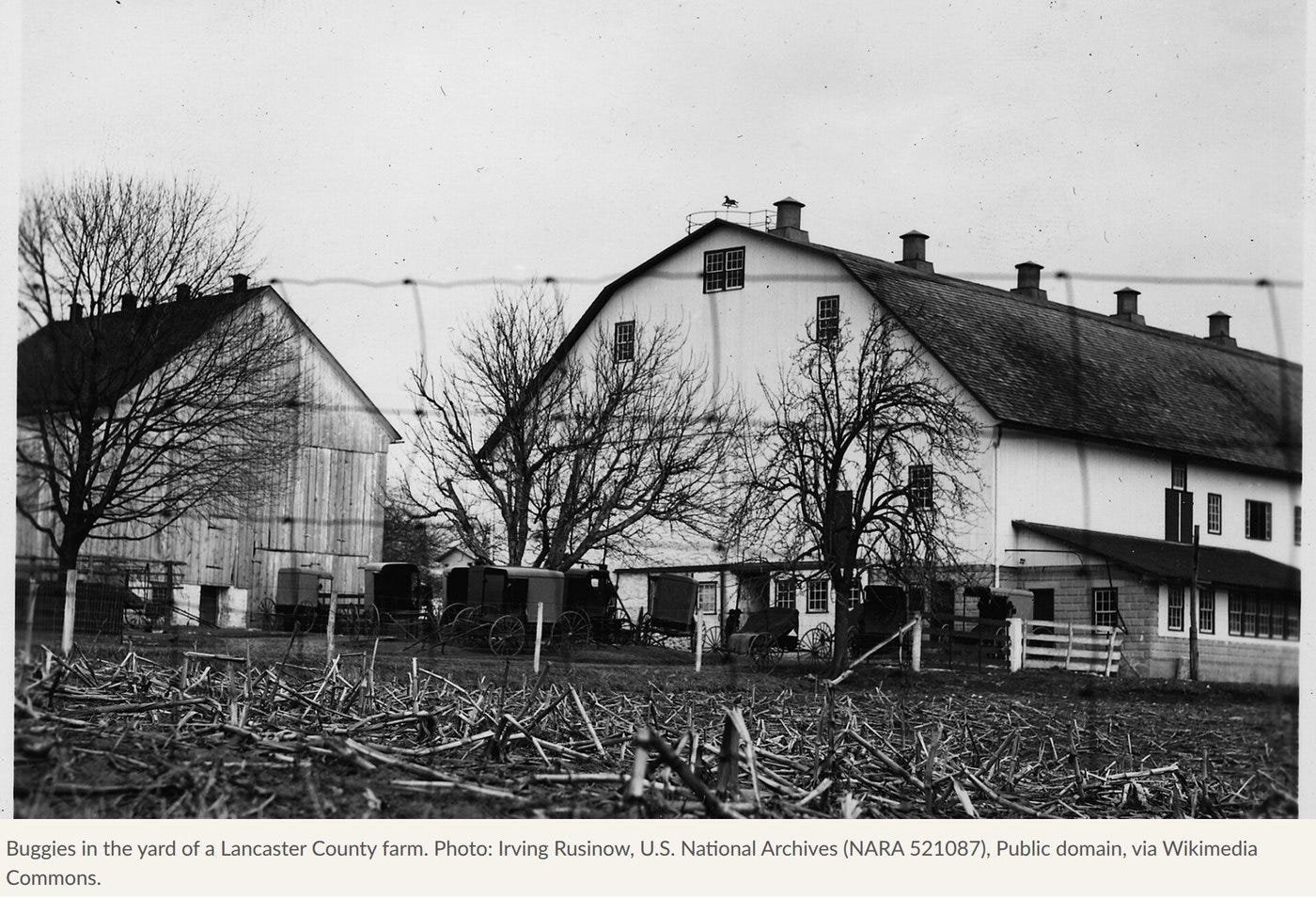 Buggies in the yard of a Lancaster County farm. Photo: Irving Rusinow, U.S. National Archives (NARA 521087), Public domain.