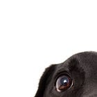 30 Days of ADM: Day 8 October 08, 2022