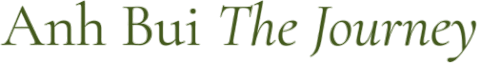 Anh Bui The Journey
