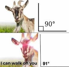 Calvin | Hiya! Calvin here to explain the meme. In this meme, we have a  goat seemingly unimpressed next to a picture of a 90 degree angle.  However,... | Instagram