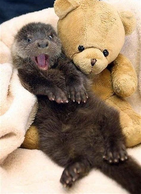 What Are "Mental Health Professionals" Used for? By Whom?