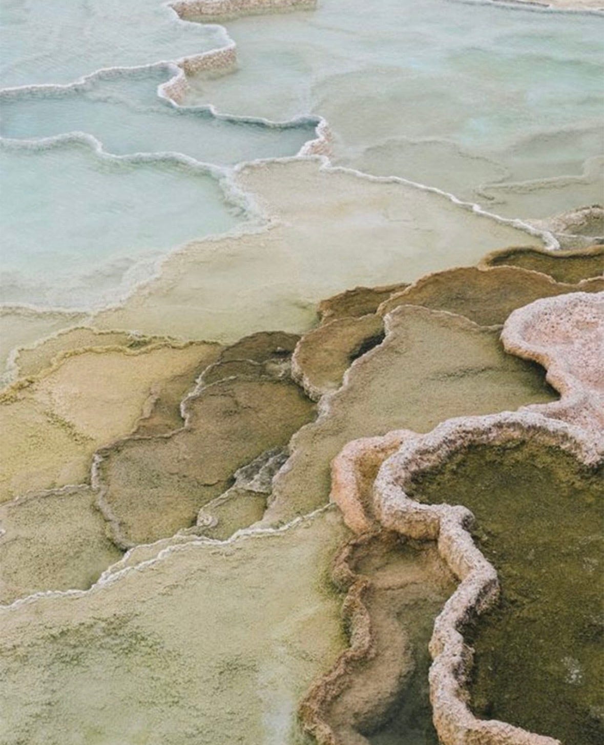 qotd, rumi, sahil bloom, jay shetty, on purpose, feel better, inspirational quotes, book recs, best books, goodreads, humor, iamthirtyaf, illustrations, mental wellness, power of positive thinking, universe, gratitude, friends, positivity, confidence, nice news, art, line drawings, linear theory, inspirational quotes, new yorker, poetry, universe, life advice, career, success, positive news, c magazine, ad magazine  Nature, wildlife photography, c magazine, California, flaunt magazine, fishermans bay garden, new zealand