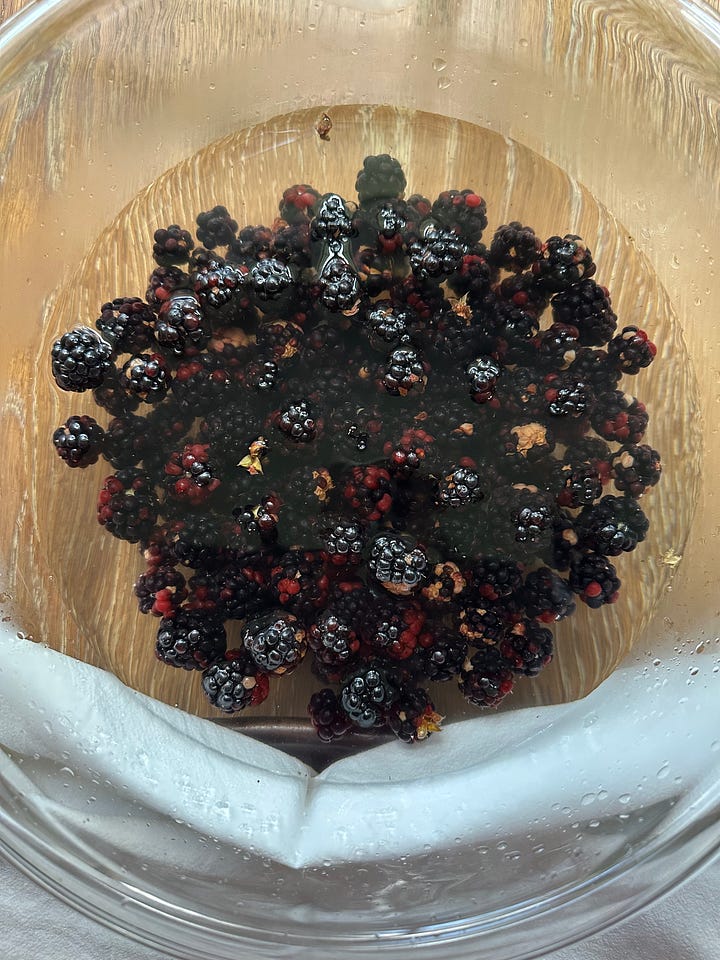 left image shows blackberries in water and right image shows them drying on a towel