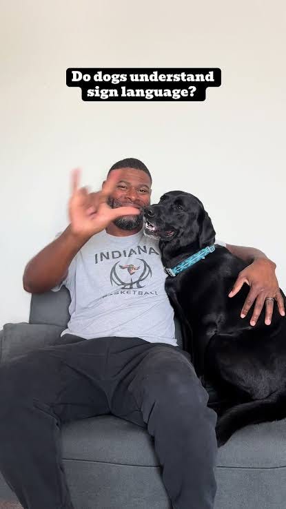 Comment if you want to learn more signs with me and Slater! 🤟🏾 #asl  #signlanguage #deaf #dog #fyp
