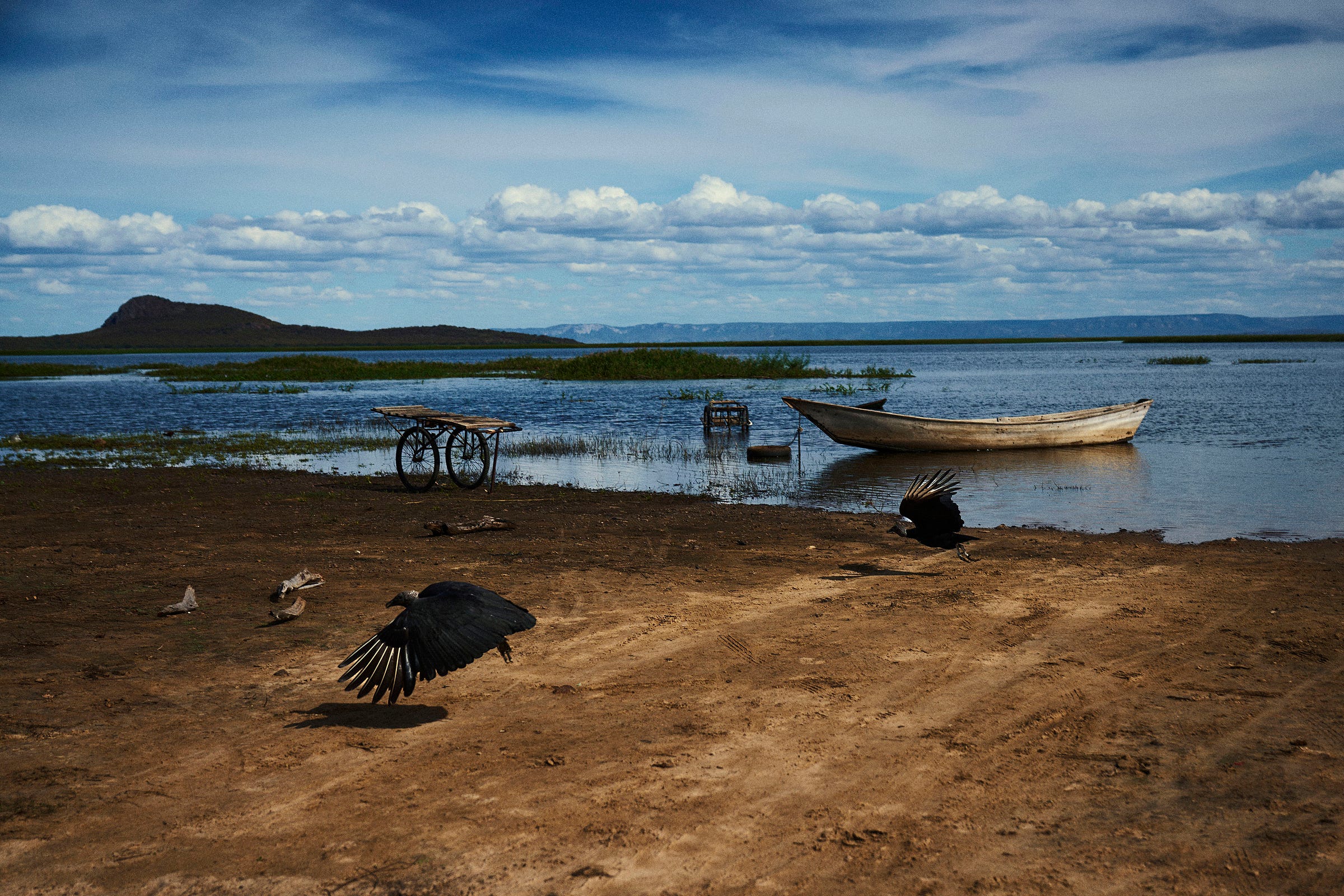 A sandy lakeshore with two large black birds flying close to the ground, a wooden boat floating near the shore, a cart, and distant hills under a partly cloudy blue sky.