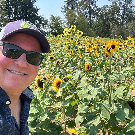 Sunflower farm, sunflowers, maze, windows, doors, and bikes