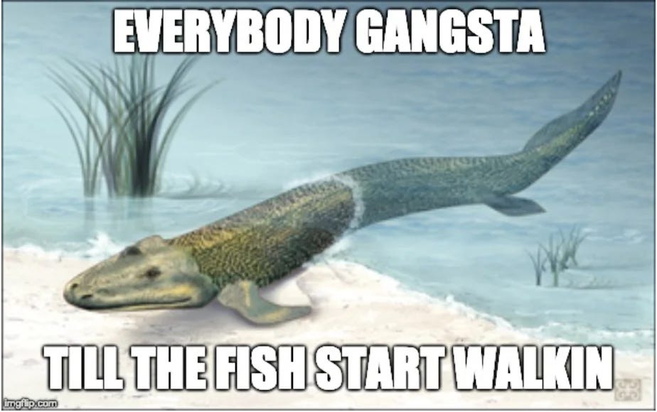 Tiktaalik meme: everybody gangsta till the fish start walkin