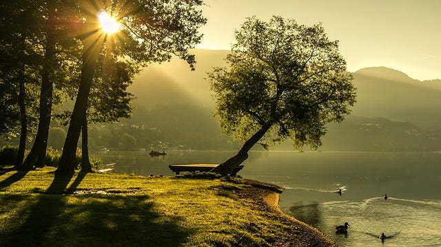 Poem analysis: "A Day of Sunshine" by romantic period poet Henry Wadsworth Longfellow