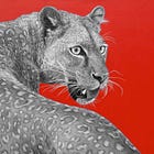 Don't Deny Your Aggression