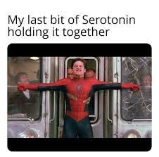 Best Funny serotonin Memes - 9GAG