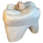 EXTRACTIONS