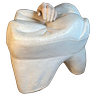 EXTRACTIONS