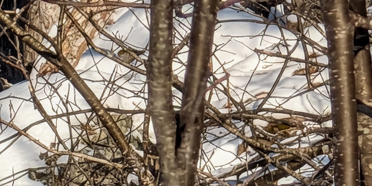 Hokkaido Day 6
