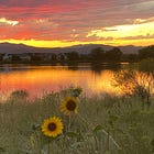 Sifting Through Meaning - Poetry