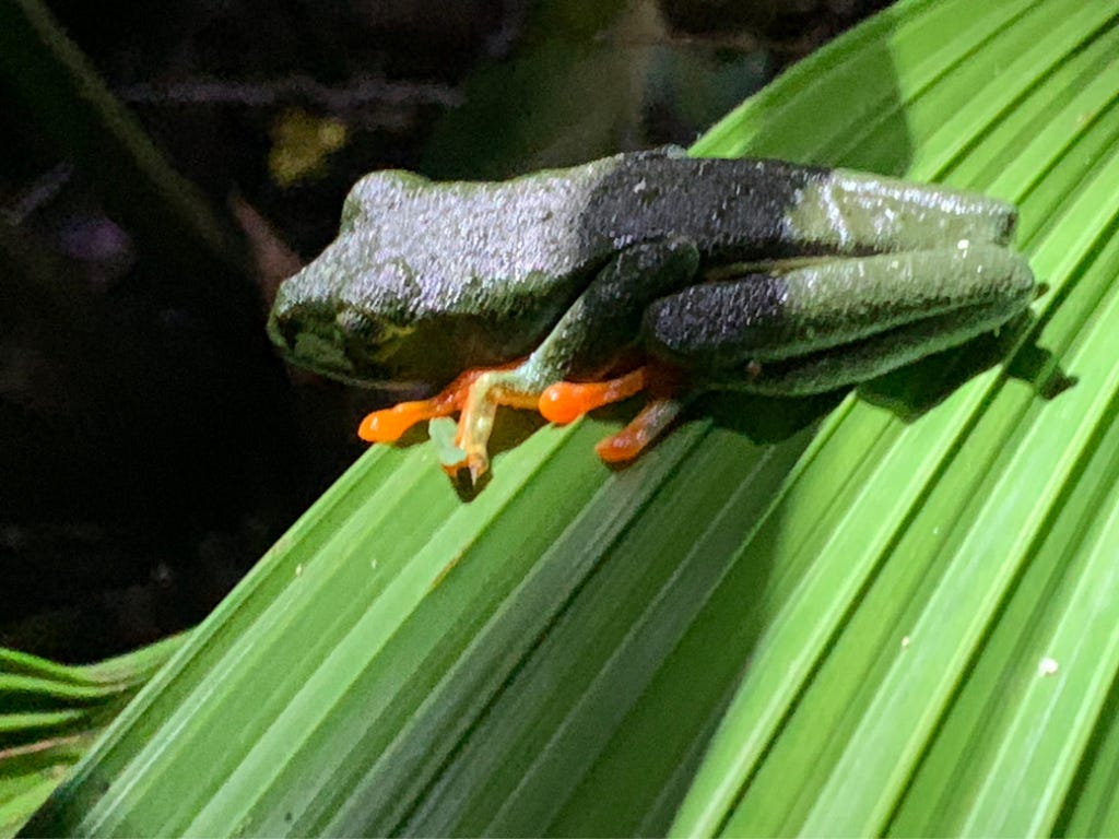 5 Unique Experiences in Costa Rica