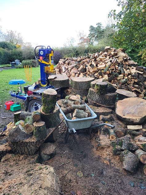 Three pictures, one showing expert using chain saw atop ladder, cutting huge curved hedge; second picture shows 'The Beast', with very large wood rings lined up for splitting, with high woodpile in background. Third pictures shows enormous ash tree rings sliced into smaller, manageable pieces by chainsaw in readiness for the return of 'The Beast' to split the rings into logs.