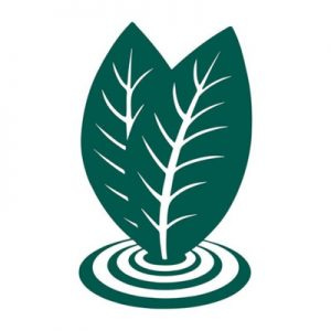 babylon microfarms logo two leaves growing out of concentric circles