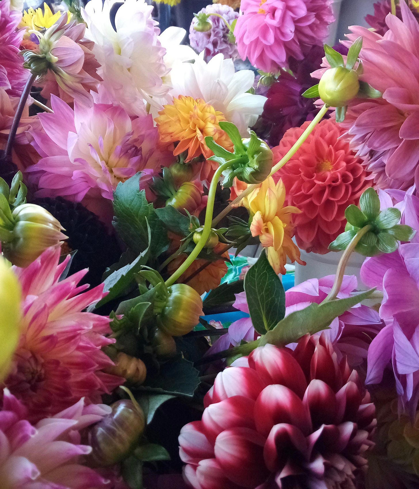Dahlias at a florist stand
