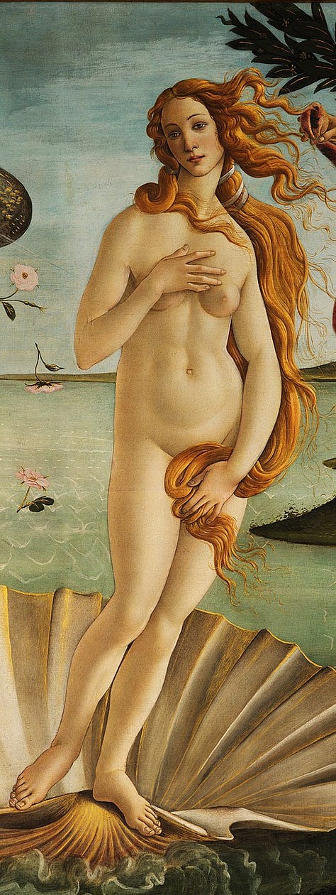 De Geboorte van Venus
