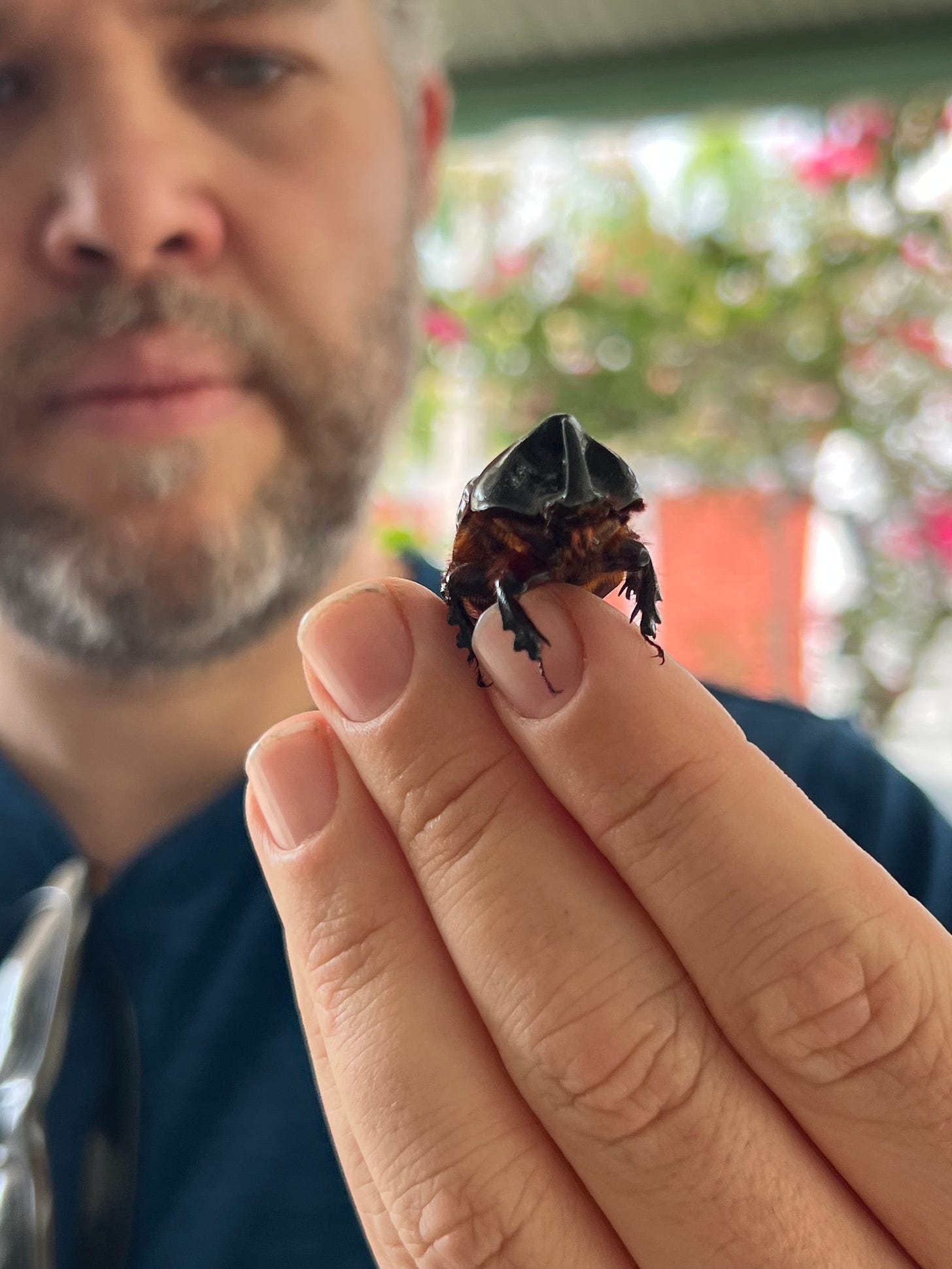 A photo of the author holding a beetle in his fingers.