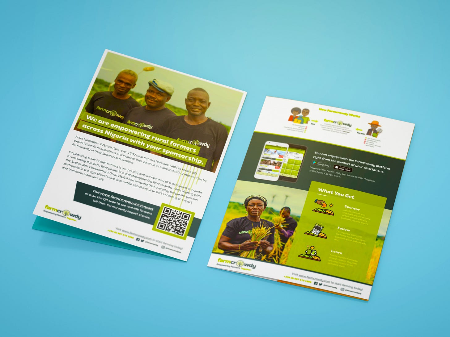 Farmcrowdy Flyer Design
