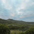 The way the light changes