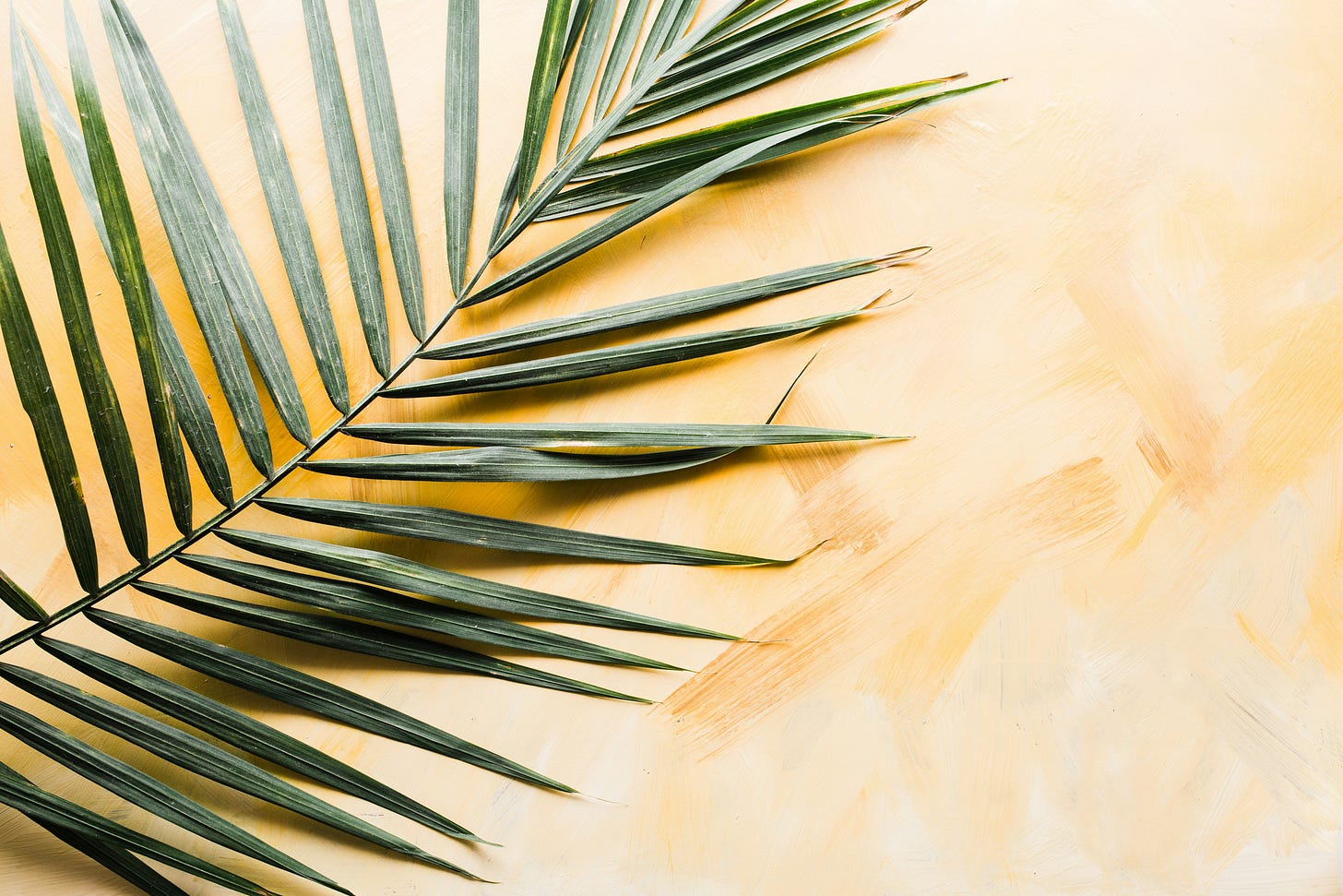 Palm Sunday Palm Branch