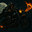 Madness and Light's avatar
