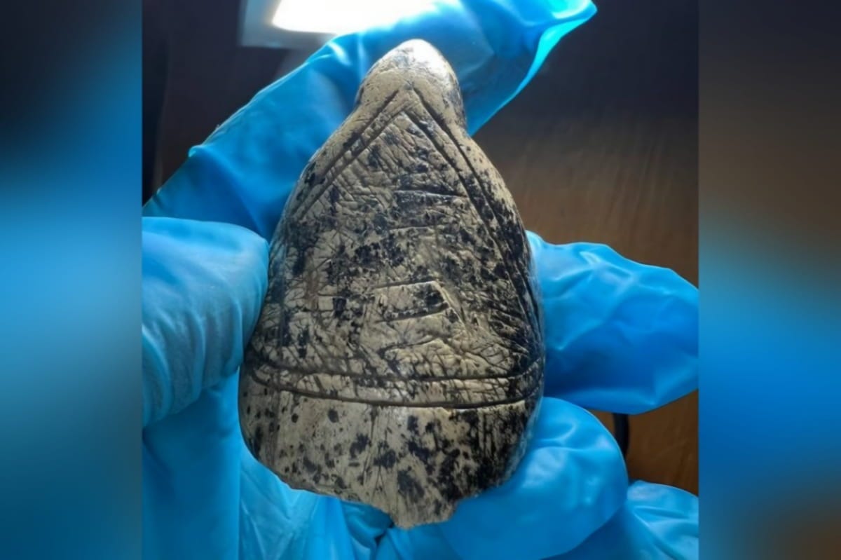 Zigzags on 18,000-Year-Old Venus Figurines Copy Tusk Grain