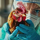 USDA Reveals Plan To Vaccinate Poultry Farms For Bird Flu In July, As NIH And USDA Develop mRNA H5N1 Shot For Cattle