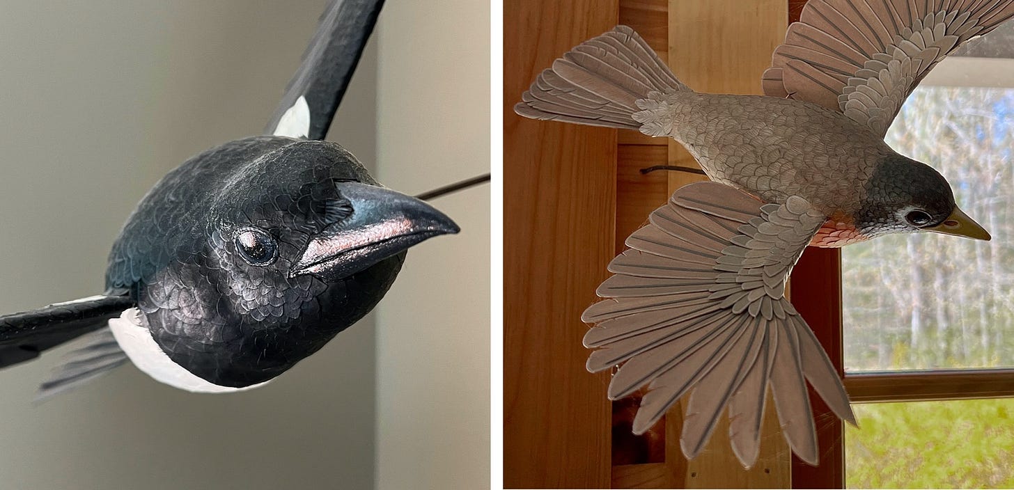 A close up of a bird

Description automatically generated