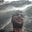 Avatar de Darcy McNeil