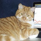 For Some Reason, CNN Only Now Saying Economic Recovery Is 'Historic'