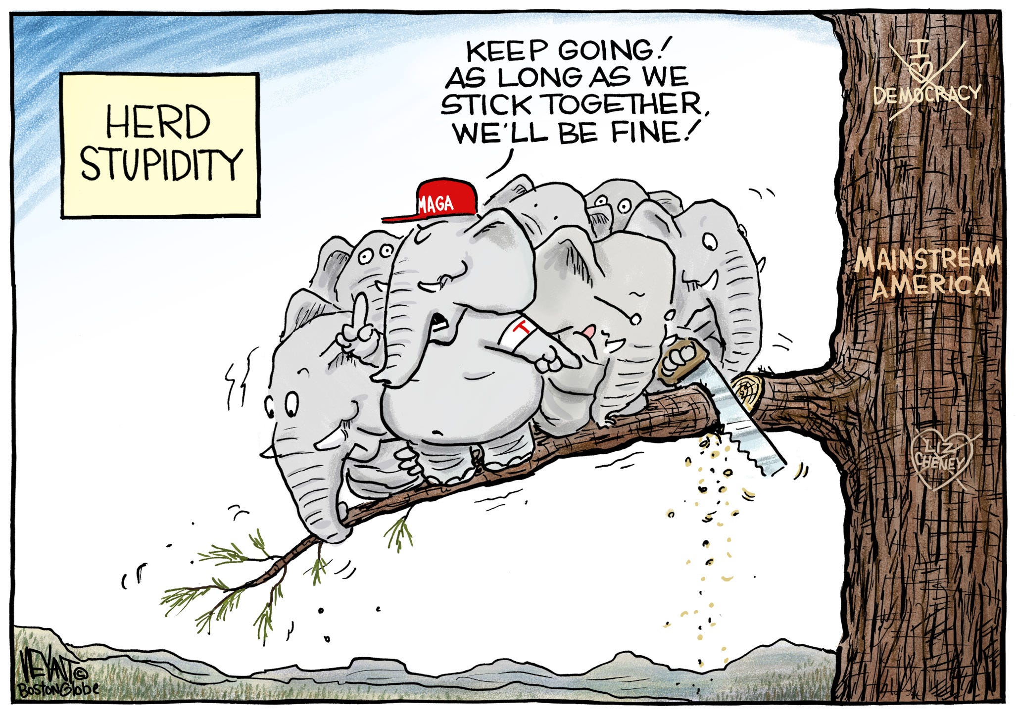 You Can’t Cure Stupid