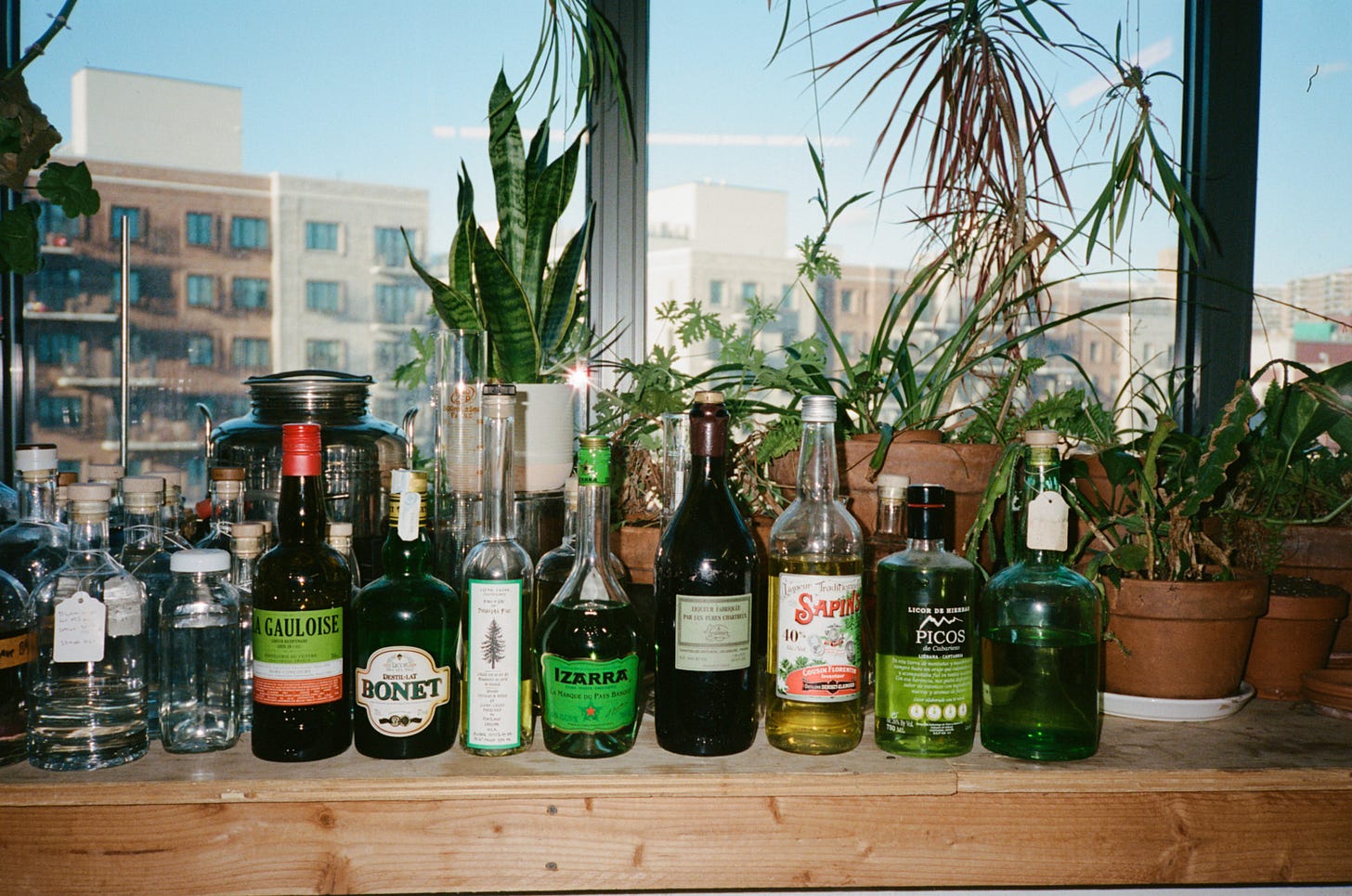Forthave's collection of green herbal spirits