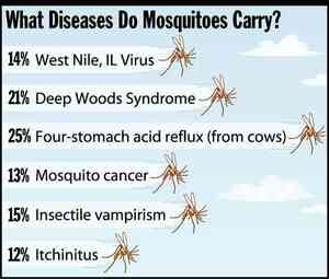 [Image shows a satirical infographic titled "What Diseases Do Mosquitoes Carry?" with mosquito illustrations next to each percentage statistic against a cloudy sky background]  What Diseases Do Mosquitoes Carry?; 14% West Nile, IL Virus; 21% Deep Woods Syndrome; 25% Four-stomach acid reflux (from cows); 13% Mosquito cancer; 15% Insectile vampirism; 12% Itchinitus