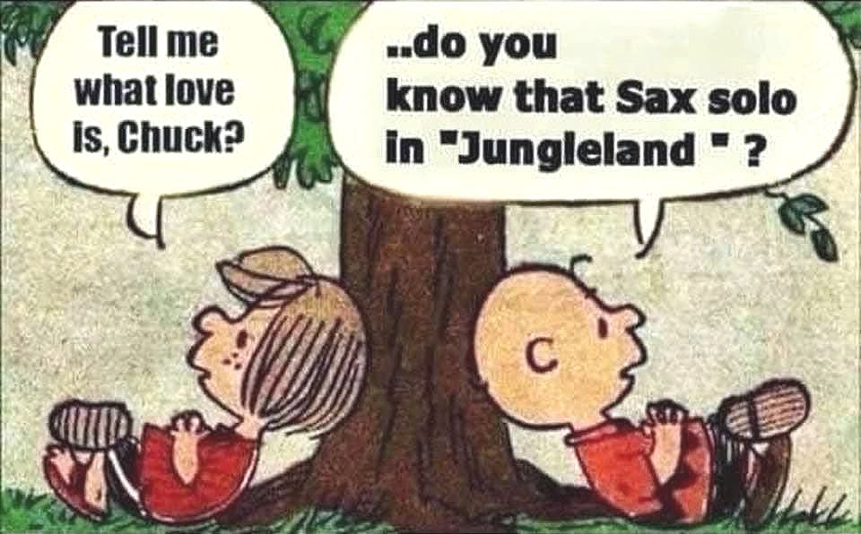 May be an image of saxophone, clarinet and text that says 'Tell me what love Is, Chuck? ..do you know that Sax solo in "Jungleland" "? ុនន LL'