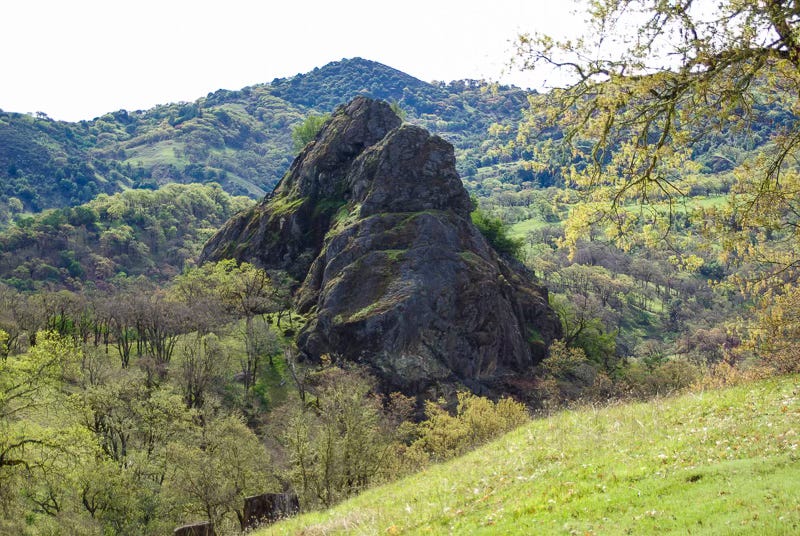 Art That Evolves People and Planets