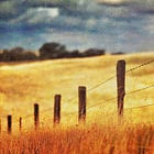 Anatomy of Market Failure III: Coase, Transaction Costs, and Missing Markets